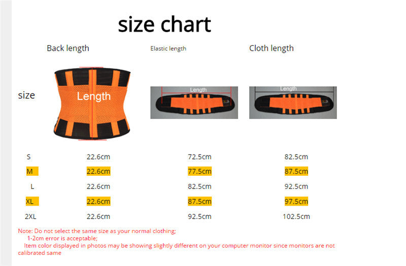 Waist Trimmer Belt - XPB - SweatCraze