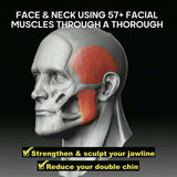 Jawline Exerciser - Jaw Chin Neck Face Workout for Men & Women by DESUPA (Red) - SweatCraze